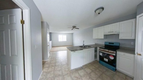 275 Mustang Road, Fort Mcmurray, AB - Indoor Photo Showing Kitchen With Double Sink