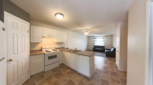 279 Mustang Road, Fort Mcmurray, AB - Indoor Photo Showing Kitchen With Double Sink