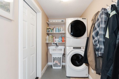 161 Chestnut Way, Fort Mcmurray, AB - Indoor Photo Showing Laundry Room