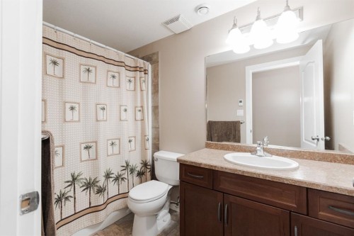 161 Chestnut Way, Fort Mcmurray, AB - Indoor Photo Showing Bathroom