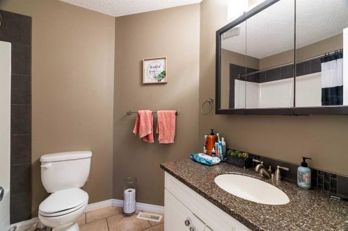 176 Bacon Place, Fort Mcmurray, AB - Indoor Photo Showing Bathroom