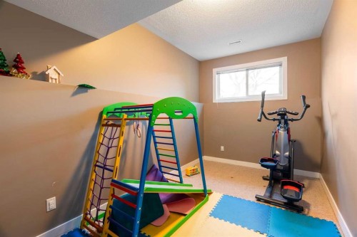 176 Bacon Place, Fort Mcmurray, AB - Indoor Photo Showing Gym Room