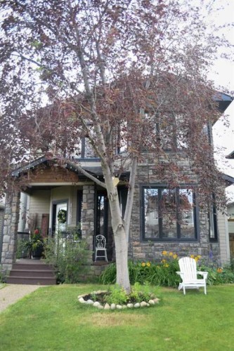 138 Mink Lane, Fort Mcmurray, AB - Outdoor