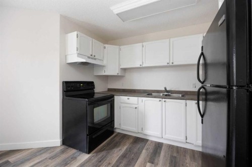 217 Bird Crescent, Fort Mcmurray, AB - Indoor Photo Showing Kitchen With Double Sink