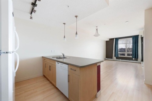 1301-204 Sparrow Hawk Drive, Fort Mcmurray, AB - Indoor Photo Showing Kitchen With Double Sink