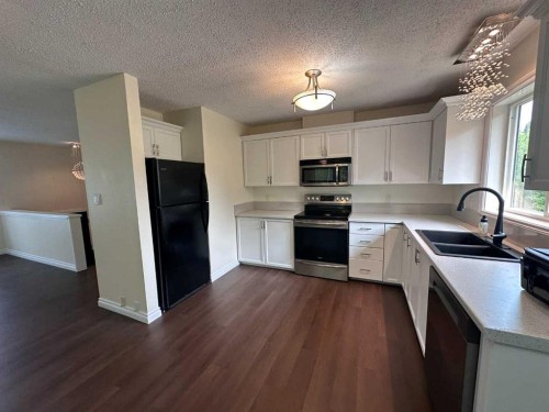 29 653043 Rge Rd 173, Caslan, AB - Indoor Photo Showing Kitchen With Double Sink