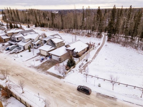 308 Sandpiper Road, Fort Mcmurray, AB - Outdoor With View