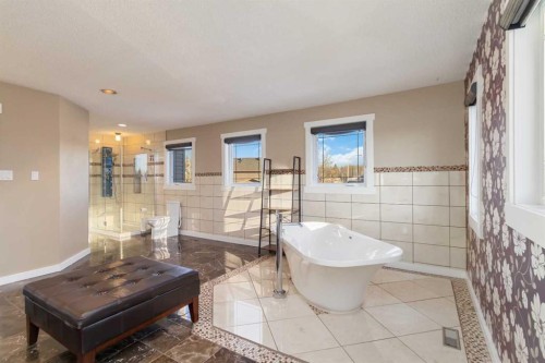 224 Torrie Crescent, Fort Mcmurray, AB - Indoor Photo Showing Bathroom