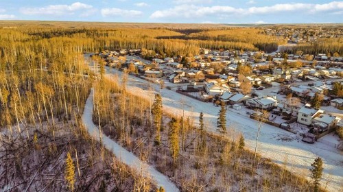 224 Torrie Crescent, Fort Mcmurray, AB - Outdoor With View