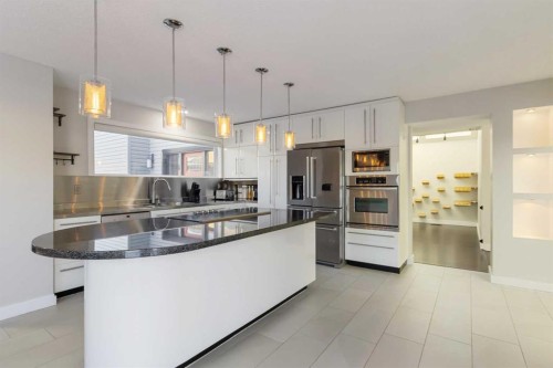 224 Torrie Crescent, Fort Mcmurray, AB - Indoor Photo Showing Kitchen With Upgraded Kitchen