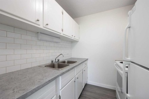 1102-13221 Macdonald Drive, Fort Mcmurray, AB - Indoor Photo Showing Kitchen With Double Sink
