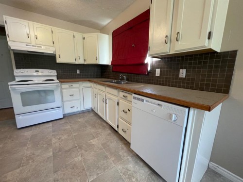 195 Eymundson Road, Fort Mcmurray, AB - Indoor Photo Showing Kitchen With Double Sink
