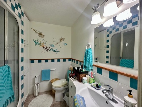 13164 Lakeland Drive, Lac La Biche, AB - Indoor Photo Showing Bathroom