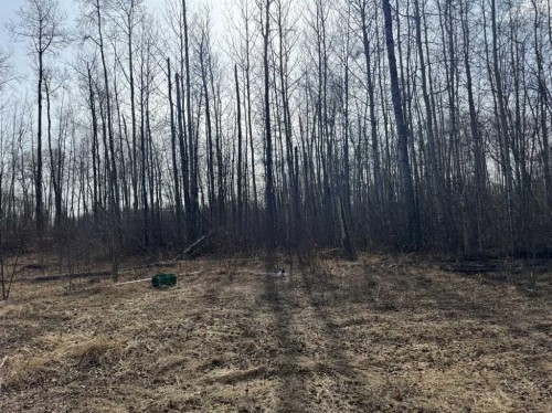 154 Poplar Drive, Conklin, AB 