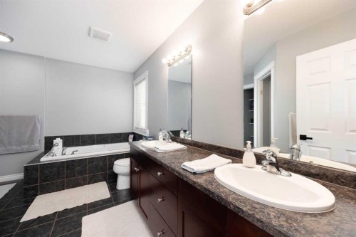 314 Pacific Crescent, Fort Mcmurray, AB - Indoor Photo Showing Bathroom