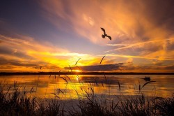 0 Old Trail  Rural Lac La Biche County, AB T0A 2C2