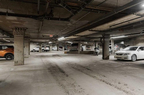 337-200 Richard Street, Fort Mcmurray, AB - Indoor Photo Showing Garage