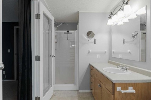 101 Balsam Way, Fort Mcmurray, AB - Indoor Photo Showing Bathroom