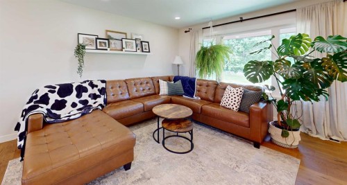 66580 Twp Rd 162, Plamondon, AB - Indoor Photo Showing Living Room