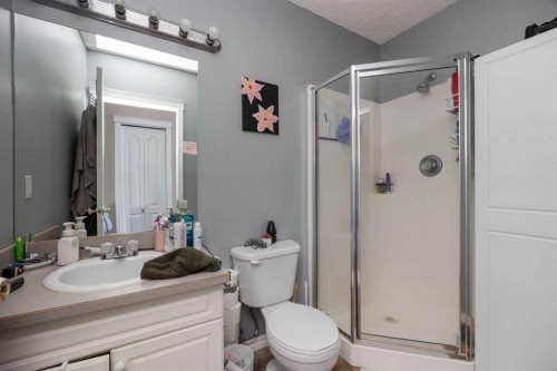 145 Laurier Road, Fort Mcmurray, AB - Indoor Photo Showing Bathroom
