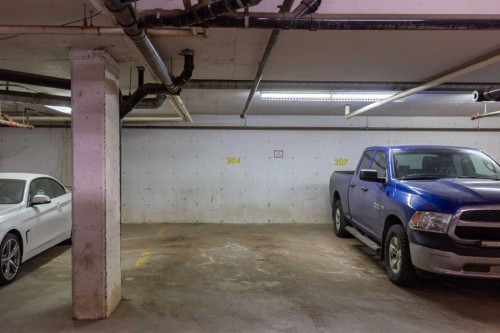 304-290 Plamondon Drive, Fort Mcmurray, AB - Indoor Photo Showing Garage