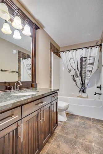 141 Huberman Way, Fort Mcmurray, AB - Indoor Photo Showing Bathroom