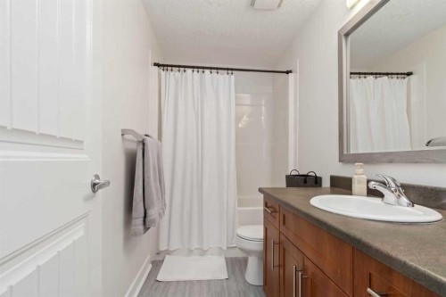 1105-204 Sparrow Hawk Drive, Fort Mcmurray, AB - Indoor Photo Showing Bathroom
