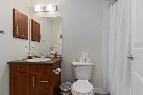 1105-204 Sparrow Hawk Drive, Fort Mcmurray, AB - Indoor Photo Showing Bathroom