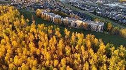 1105-204 Sparrow Hawk Drive, Fort Mcmurray, AB - Outdoor With View