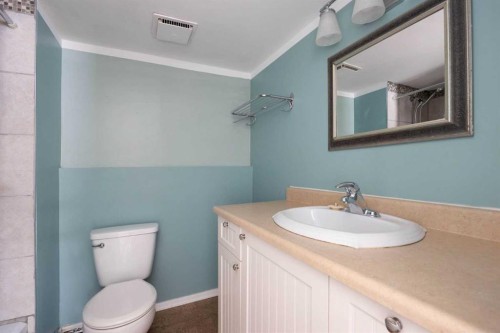 164 Wolverine Drive, Fort Mcmurray, AB - Indoor Photo Showing Bathroom