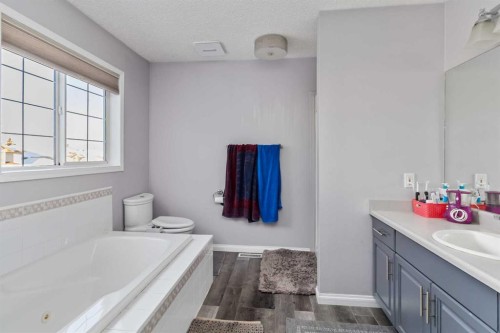 113 Bussieres Drive, Fort Mcmurray, AB - Indoor Photo Showing Bathroom