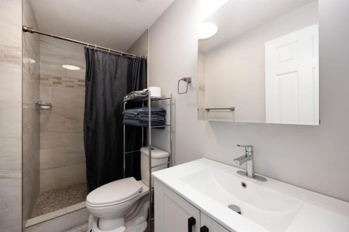 1089 Timberline Drive, Fort Mcmurray, AB - Indoor Photo Showing Bathroom