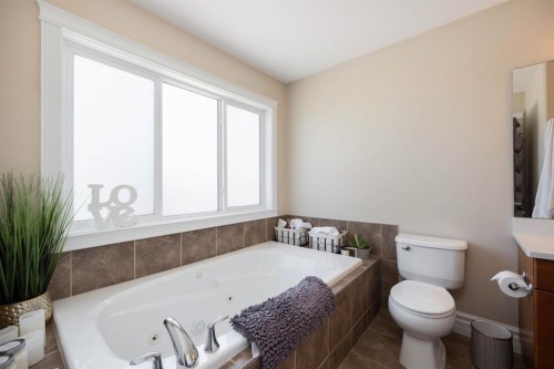 457 Walnut Crescent, Fort Mcmurray, AB - Indoor Photo Showing Bathroom