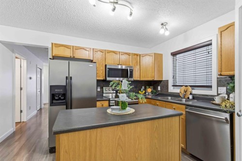 250 Fox Crescent, Fort Mcmurray, AB - Indoor Photo Showing Kitchen With Double Sink