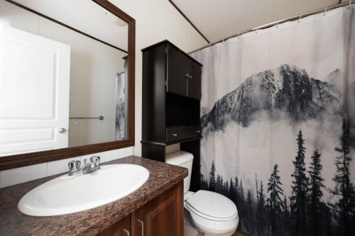 328 Grey Crescent, Fort Mcmurray, AB - Indoor Photo Showing Bathroom