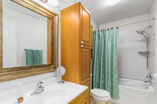 202 Bird Crescent, Fort Mcmurray, AB - Indoor Photo Showing Bathroom