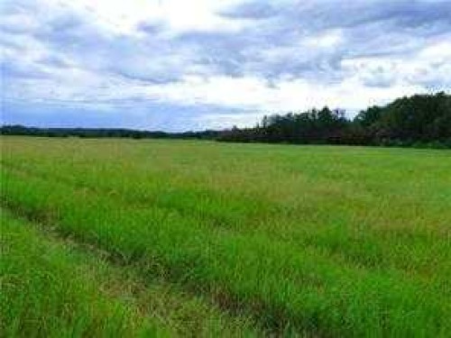 Range Road 142 Highway 55 South, Lac La Biche, AB 