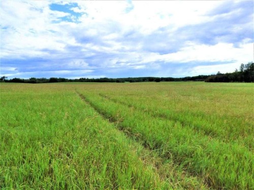 Range Road 142 Highway 55 South, Lac La Biche, AB 