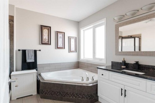 172 Berard Crescent, Fort Mcmurray, AB - Indoor Photo Showing Bathroom
