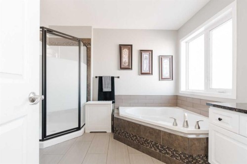 172 Berard Crescent, Fort Mcmurray, AB - Indoor Photo Showing Bathroom