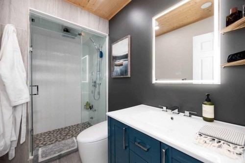 100 Simcoe Way, Fort Mcmurray, AB - Indoor Photo Showing Bathroom