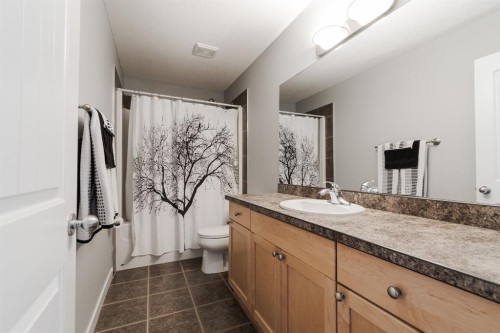 100 Honeysuckle Way, Fort Mcmurray, AB - Indoor Photo Showing Bathroom