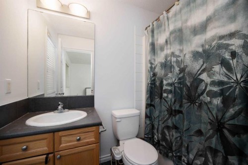 209 Grouse Way, Fort Mcmurray, AB - Indoor Photo Showing Bathroom