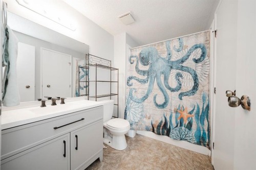181 Windsor Drive, Fort Mcmurray, AB - Indoor Photo Showing Bathroom