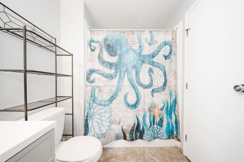 181 Windsor Drive, Fort Mcmurray, AB - Indoor Photo Showing Bathroom