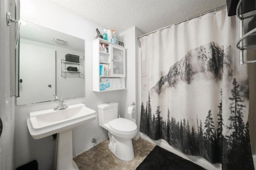 181 Windsor Drive, Fort Mcmurray, AB - Indoor Photo Showing Bathroom