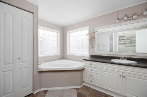 488 Harpe Way, Fort Mcmurray, AB - Indoor Photo Showing Bathroom