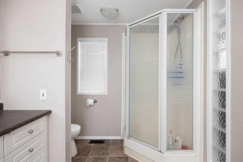 488 Harpe Way, Fort Mcmurray, AB - Indoor Photo Showing Bathroom