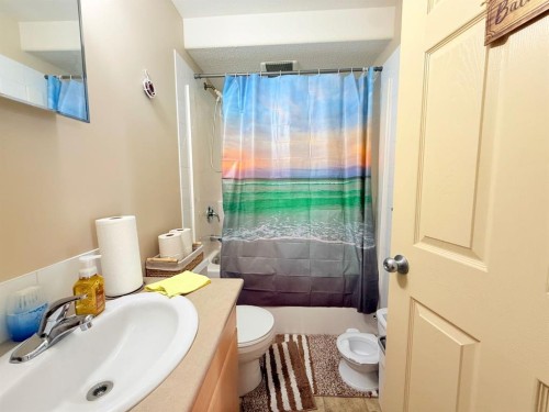 1208-200 Lougheed Drive, Fort Mcmurray, AB - Indoor Photo Showing Bathroom