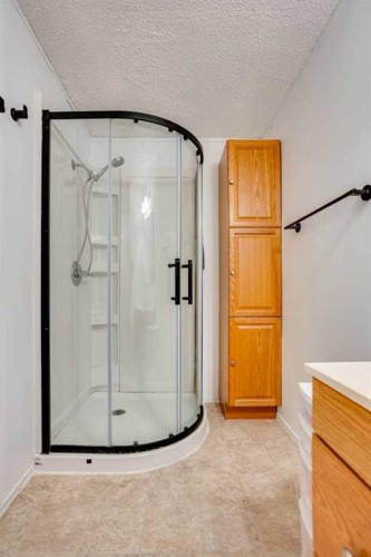 101 Clausen Crescent, Fort Mcmurray, AB - Indoor Photo Showing Bathroom